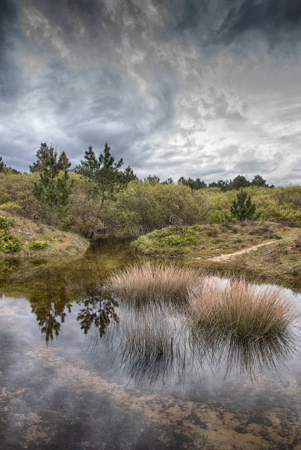 Krajobraz w wybrzeżu fotografia royalty free