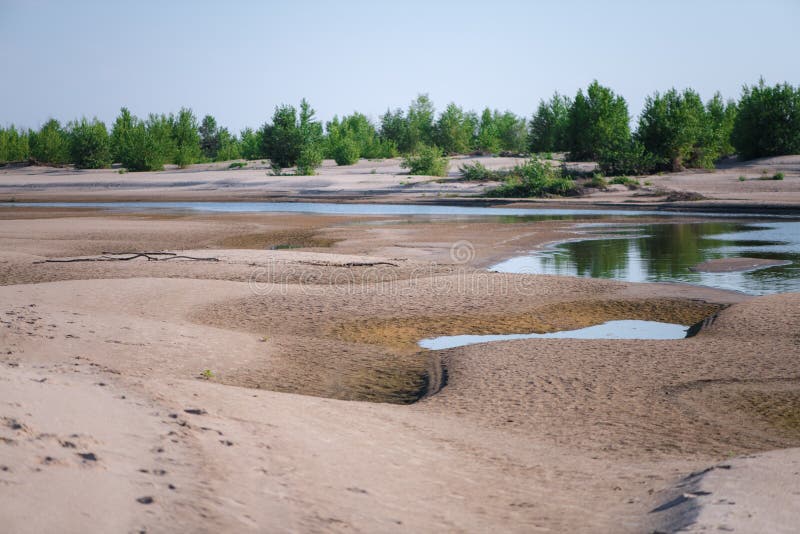 Krajobrazowy lata tło dzika Piaskowata plaża na rzecznym kurorcie i zielona pustynna roślina na horisont obrazy royalty free Krajobrazowy lata tło dzika Piaskowata plaża na rzecznym kurorcie i zielona pustynna roślina na horisont obrazy royalty free