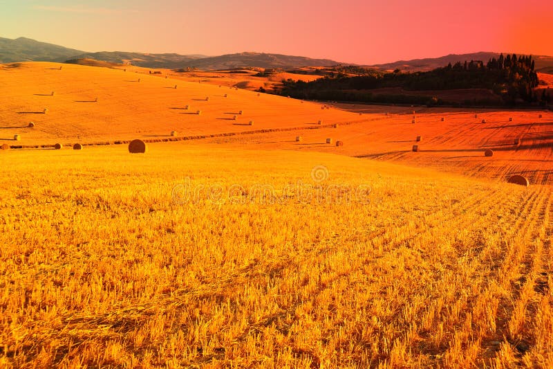 Tuscany Landscape With Many Hay Bales, Sunset. Tuscany Landscape With Many Hay Bales, Sunset