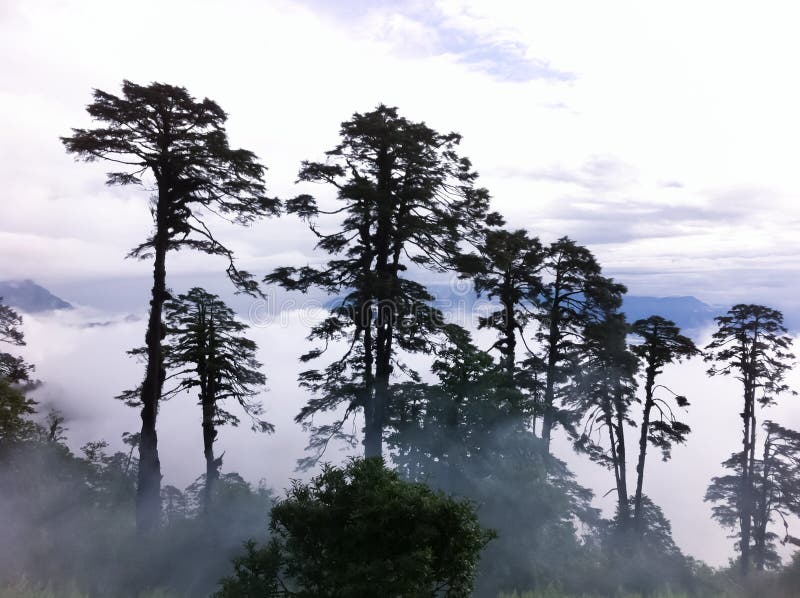 Krajobrazy w Bhutan