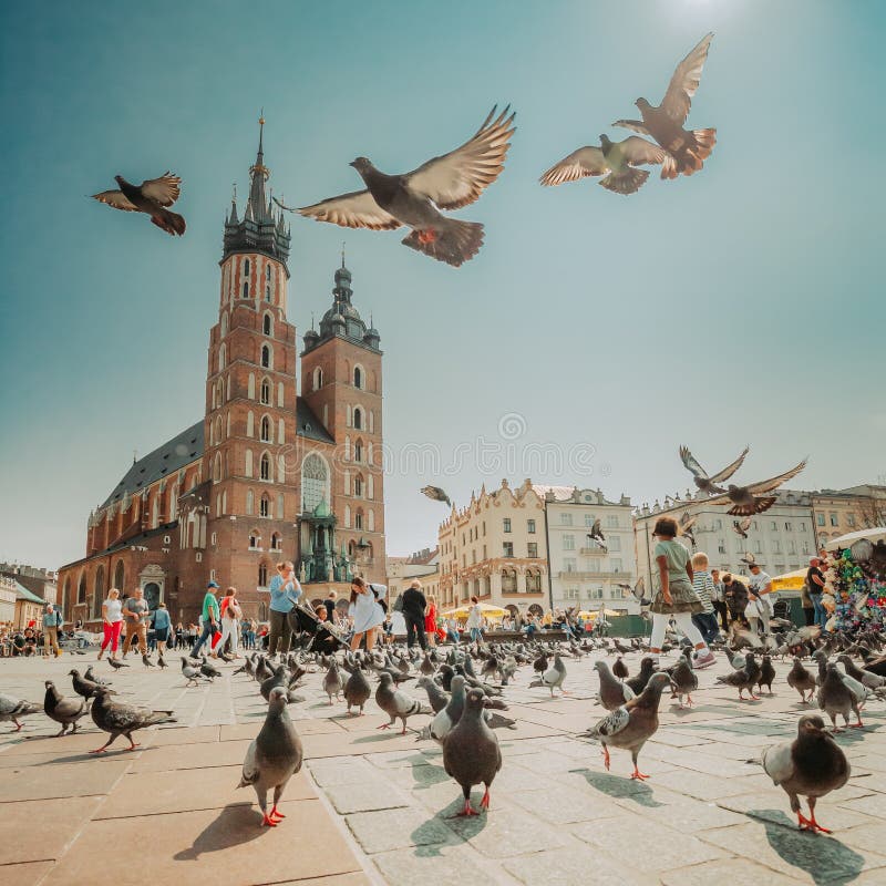 Krakow, Poland. Doves Birds Flying Near St. Mary&x27;s Basilica. Pigeons Flying Near Church Of Our Lady Assumed Into Heaven