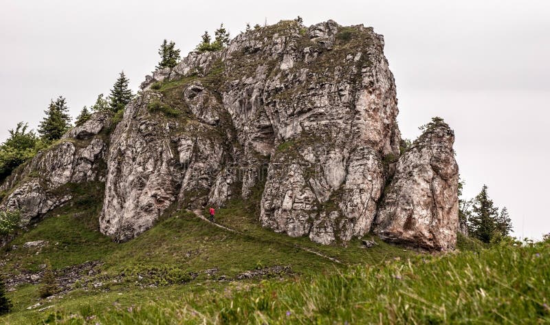 Kralova skala hill in Velka Fatra mountains