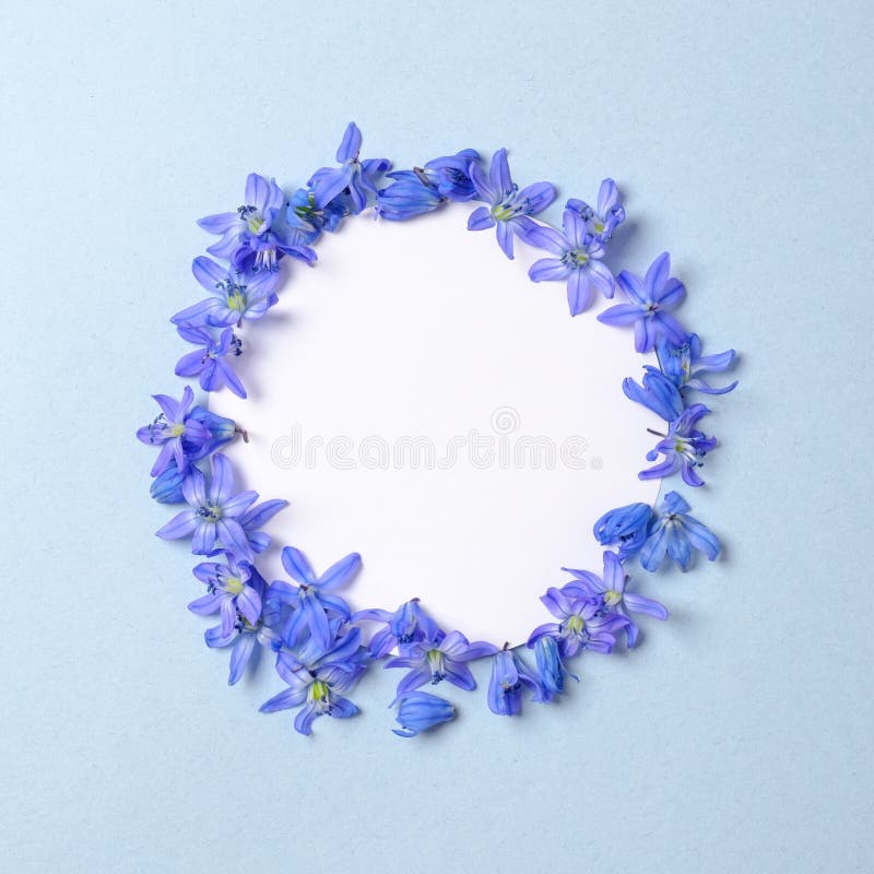 Kranz gemacht von den blauen Blumenblumenbl?ttern mit freiem Raum innerhalb des Kreises auf blauem Pastellhintergrund Flache Lage lizenzfreie stockbilder Kranz gemacht von den blauen Blumenblumenbl?ttern mit freiem Raum innerhalb des Kreises auf blauem Pastellhintergrund Flache Lage lizenzfreie stockbilder