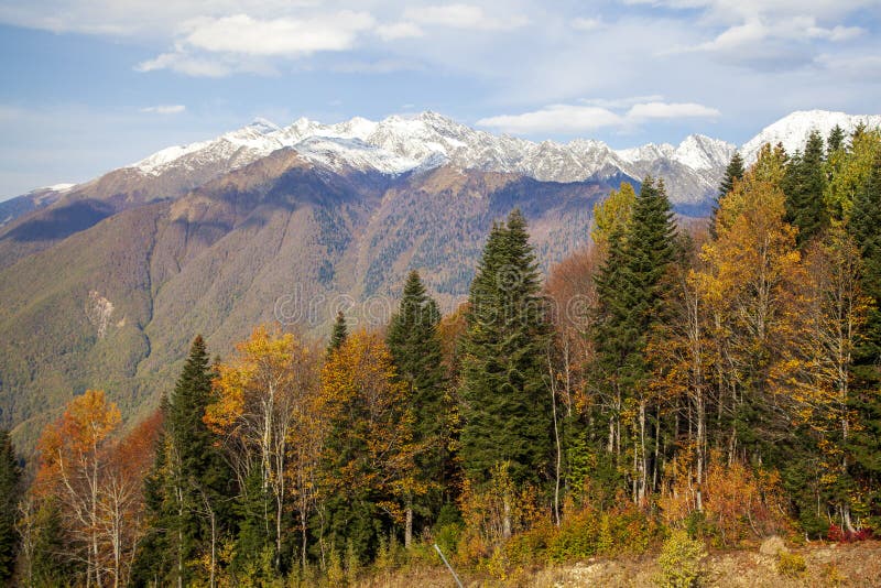 Krasnaya Polyana, Sochi, the mountains of the North Caucasus, snow-capped peaks against the background of autumn trees