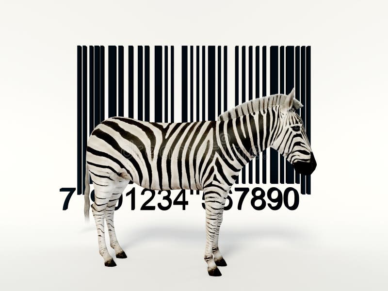 kreatywnie zebra obrazy stock kreatywnie zebra obrazy stock
