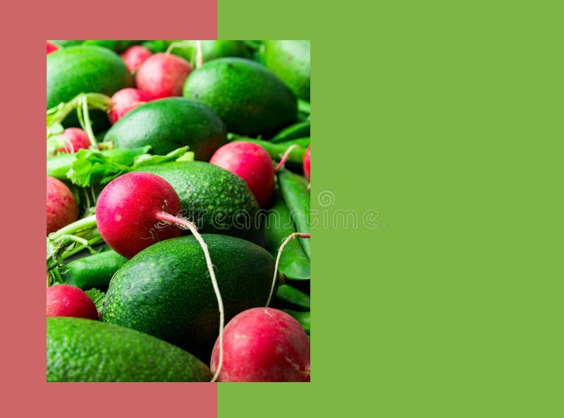 Kreatywnie żywność organiczna weganinu zdrowego styl życia sztandaru plakatowy szablon Surowi organicznie warzywo rzodkwi avocado obraz stock Kreatywnie żywność organiczna weganinu zdrowego styl życia sztandaru plakatowy szablon Surowi organicznie warzywo rzodkwi avocado obraz stock