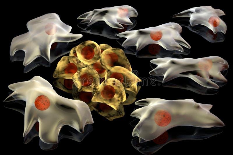 3d render illustration of cancer cells. A group of differentiated cells surround another group of actively divided cancer cell. 3d render illustration of cancer cells. A group of differentiated cells surround another group of actively divided cancer cell