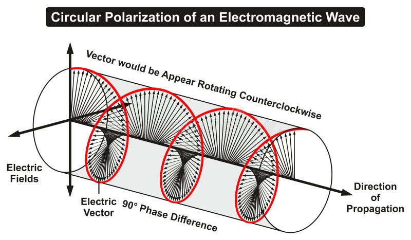 Circular Polarization of an Electromagnetic Light Wave infographic diagram showing electric fields phase difference direction of propagation rotating counterclockwise for physics science education. Circular Polarization of an Electromagnetic Light Wave infographic diagram showing electric fields phase difference direction of propagation rotating counterclockwise for physics science education