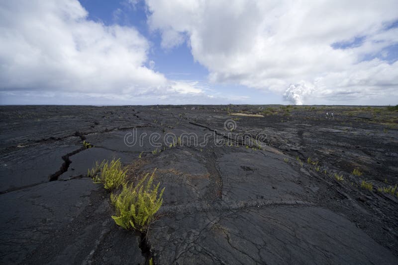 Bed of lava with a crack runing away from camera, with the eruptions steam cloud in the background and hikers in the mid-ground. Bed of lava with a crack runing away from camera, with the eruptions steam cloud in the background and hikers in the mid-ground.