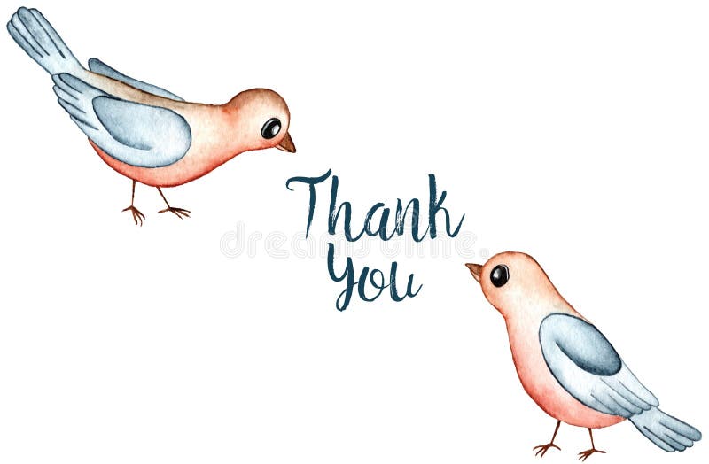 Kreskówka rudzika Redbreast ptaków akwareli ilustracja Odizolowywająca na Białym tle dziękuję karty ilustracji Kreskówka rudzika Redbreast ptaków akwareli ilustracja Odizolowywająca na Białym tle dziękuję karty ilustracji