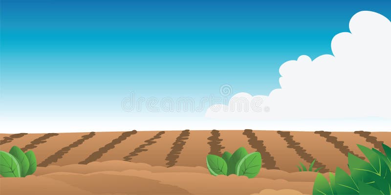 Cartoon illustration of a farm field. Cartoon illustration of a farm field