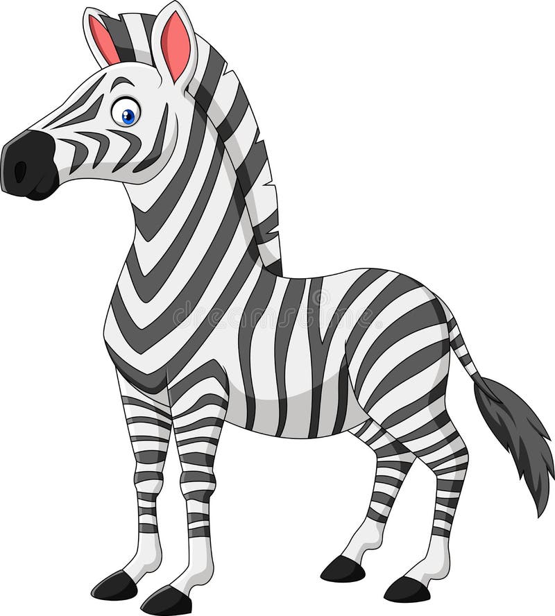 Kreskówki zebra odizolowywająca na białym tle royalty ilustracja