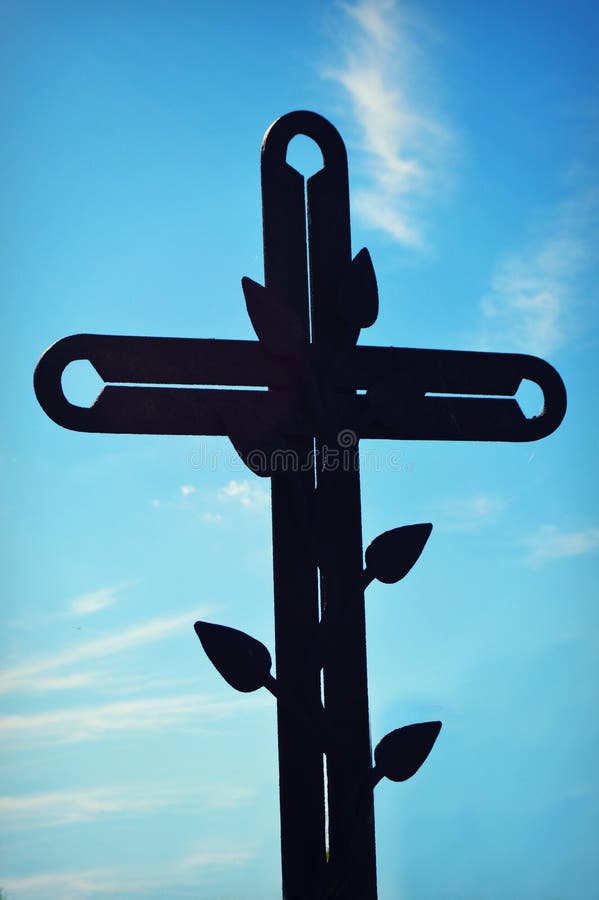 Vielzahl Dragon Lady Der Querrebe (Bignonia Capreolata