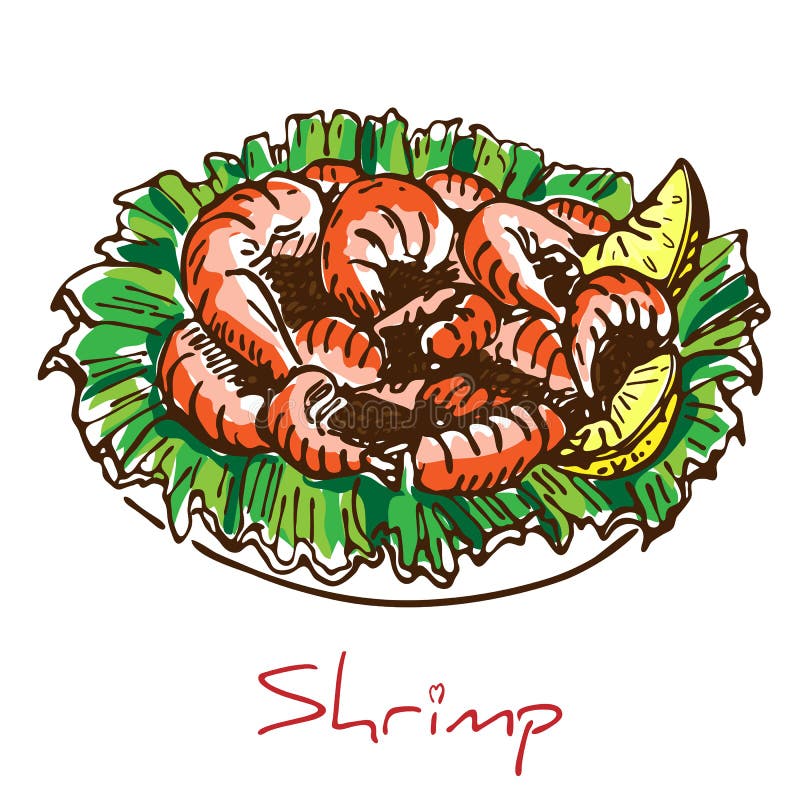 Hand drawn boiled prawn or shrimp with lettuce and lemon slices isolated on white background. Colorful sketch drawing of seafood. king Shrimps served on white plate.Tasty cooked fried pile of prawns. Hand drawn boiled prawn or shrimp with lettuce and lemon slices isolated on white background. Colorful sketch drawing of seafood. king Shrimps served on white plate.Tasty cooked fried pile of prawns