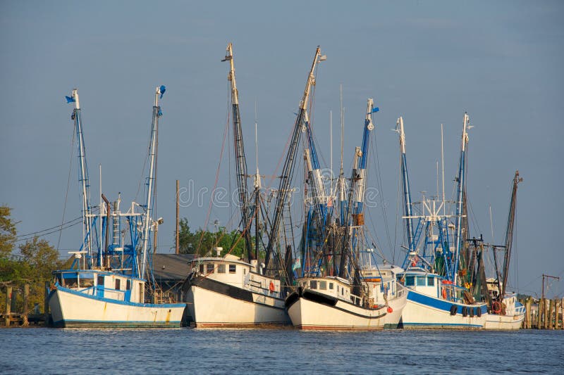 Shrimp boats at anchor in small river port in South Carolina in evening light. Shrimp boats at anchor in small river port in South Carolina in evening light