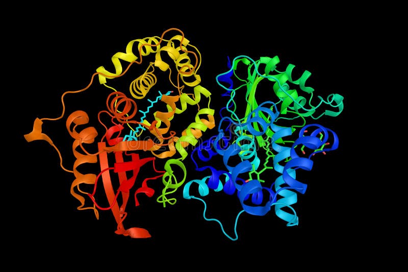 Crystal structure of Orange carotenoid protein, found in cyanobacteria, among which it is widespread. 3d rendering. Crystal structure of Orange carotenoid protein, found in cyanobacteria, among which it is widespread. 3d rendering.