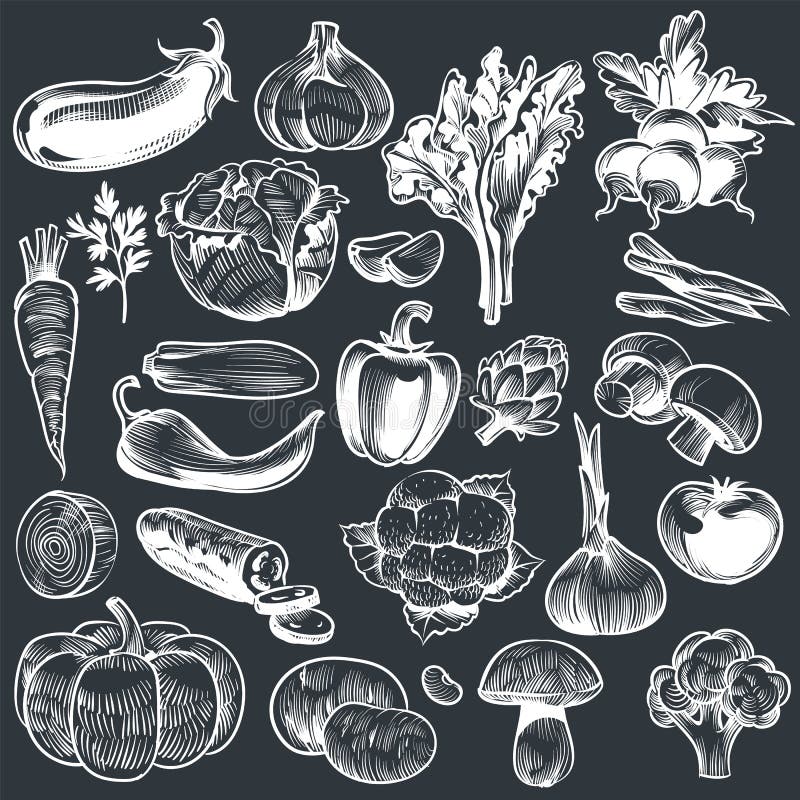 Kritdragning av grönsaker. Olika handtagna vegetabiliska organiska morötter broccoli eggplantskål.