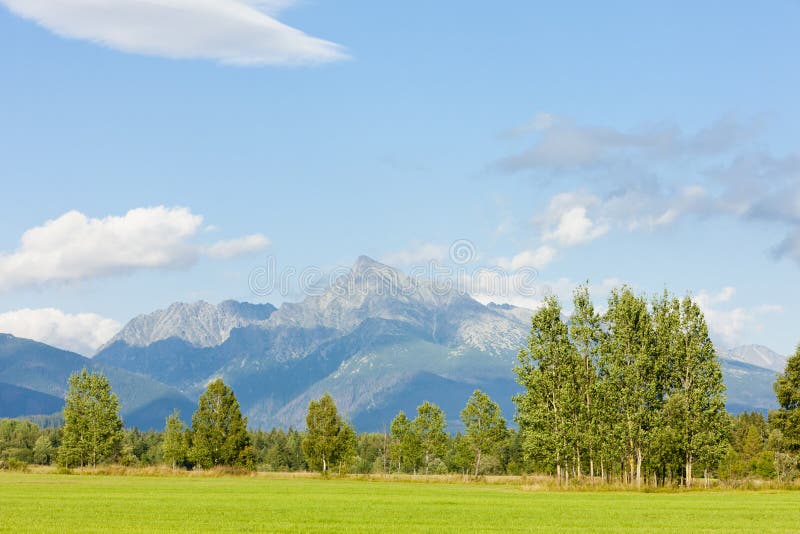 Kriváň, Vysoké Tatry