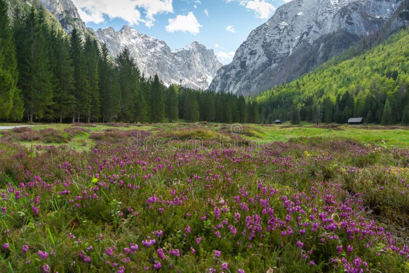 Krma dolina w Słoweńskich Alps obraz stock Krma dolina w Słoweńskich Alps obraz stock