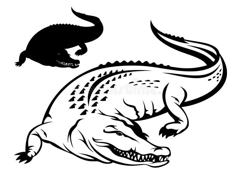 Krokodilvektor lizenzfreie abbildung