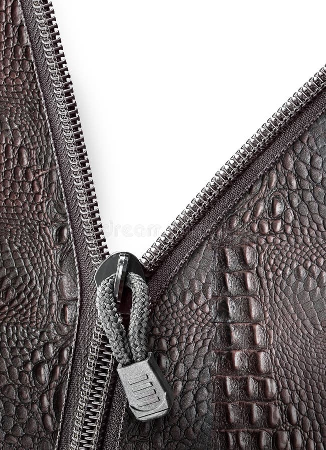 Crocodile leather and open zipper isolated on white. Crocodile leather and open zipper isolated on white