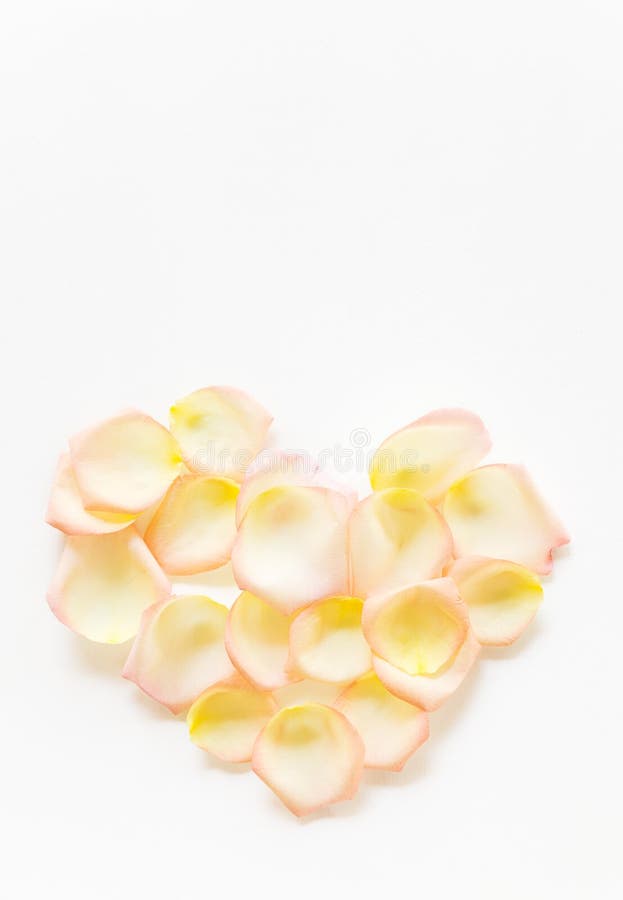Kronblad för lekmanna- guling för lägenhet för bästa sikt formar rosa och för rosa te i hjärta på vit bakgrund Förälskelse romans fotografering för bildbyråer Kronblad för lekmanna- guling för lägenhet för bästa sikt formar rosa och för rosa te i hjärta på vit bakgrund Förälskelse romans fotografering för bildbyråer