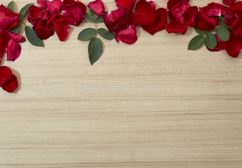 Kronblad för röda rosor för ram på träförälskelse, romans, valentindag och feriebegrepp