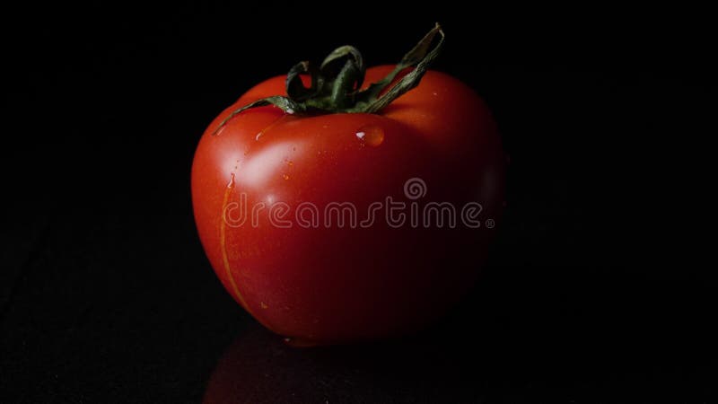Krople wodny obcieknięcie od above dojrzałych pomidorów Rama Zamyka up kropla wodny obcieknięcie od pomidoru zdjęcie stock Krople wodny obcieknięcie od above dojrzałych pomidorów Rama Zamyka up kropla wodny obcieknięcie od pomidoru zdjęcie stock