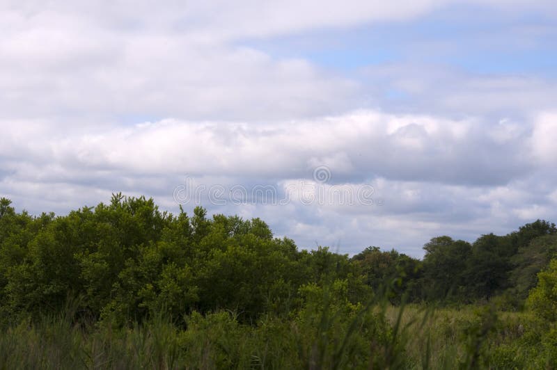 Kruger national park, South Africa