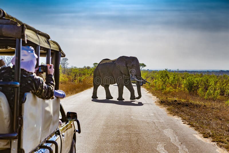 Kruger park narodowy, Południowa Afryka
