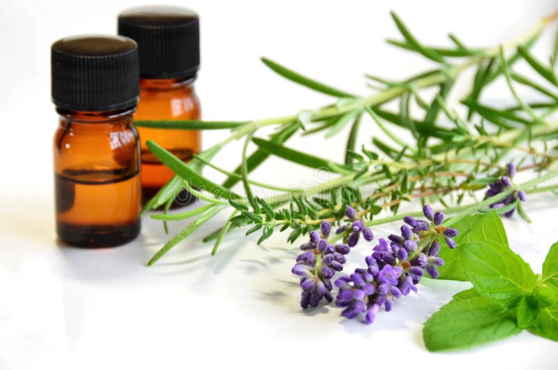 Fresh herbs and essential oils in white background. Fresh herbs and essential oils in white background