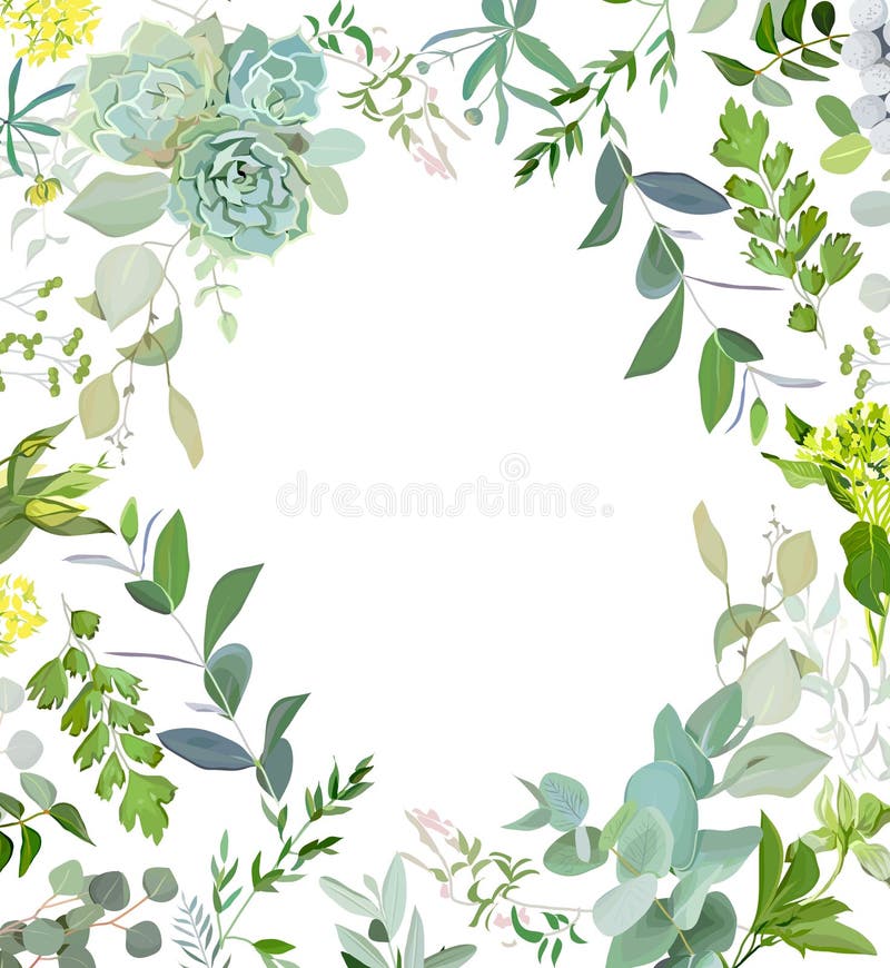 Kruidenmengelings vierkant vectorkader De hand schilderde installaties, takken, bladeren, succulents en bloemen op witte achtergr Kruidenmengelings vierkant vectorkader De hand schilderde installaties, takken, bladeren, succulents en bloemen op witte achtergr