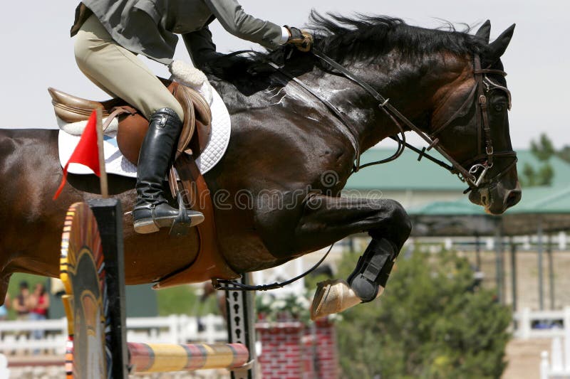 Equestrian horse and rider jump over a tall obstacle in a competition - can represent milestones, successes, crossing life's hurdles, etc. (shallow focus). Equestrian horse and rider jump over a tall obstacle in a competition - can represent milestones, successes, crossing life's hurdles, etc. (shallow focus).