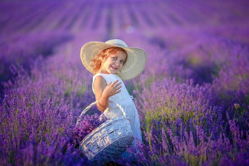 Krullend meisje die zich op een lavendelgebied in witte kleding en hoed met leuk gezicht en aardig haar met lavendelboeket bevind stock foto's Krullend meisje die zich op een lavendelgebied in witte kleding en hoed met leuk gezicht en aardig haar met lavendelboeket bevind stock foto's