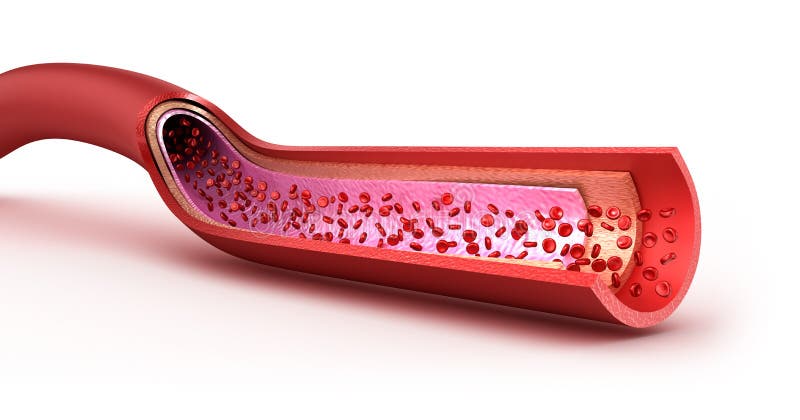 krwionośnego erytrocytów macro pokrojony naczynie