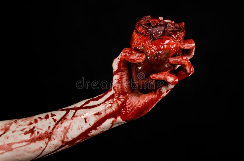 Krwionośny i Halloweenowy temat: okropny krwisty chwyt drzejący ręki krwawiący ludzki serce odizolowywający na czarnym tle w stud obraz royalty free Krwionośny i Halloweenowy temat: okropny krwisty chwyt drzejący ręki krwawiący ludzki serce odizolowywający na czarnym tle w stud obraz royalty free