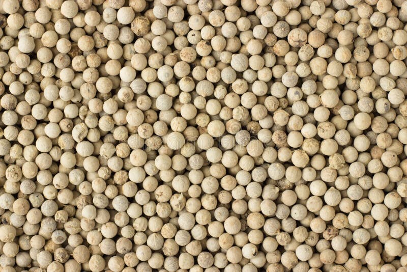 Krydda för vit peppar som en bakgrund, naturlig smaktillsatstextur arkivfoton Krydda för vit peppar som en bakgrund, naturlig smaktillsatstextur arkivfoton