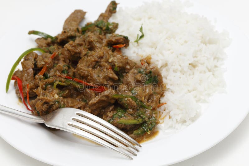 Kryddat mål för lammcurry med gaffeln royaltyfri foto Kryddat mål för lammcurry med gaffeln royaltyfri foto