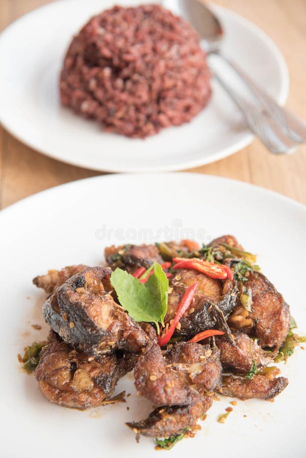 Kryddiga Fried Stir Catfish med basilika och riceberry ris royaltyfria bilder Kryddiga Fried Stir Catfish med basilika och riceberry ris royaltyfria bilder