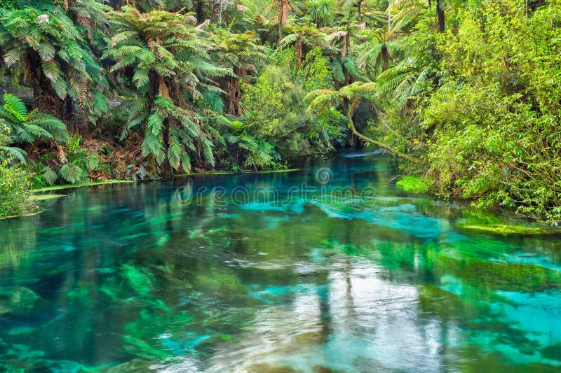 Kryształ - jasna woda Błękitna wiosna, Waikato, Nowa Zelandia