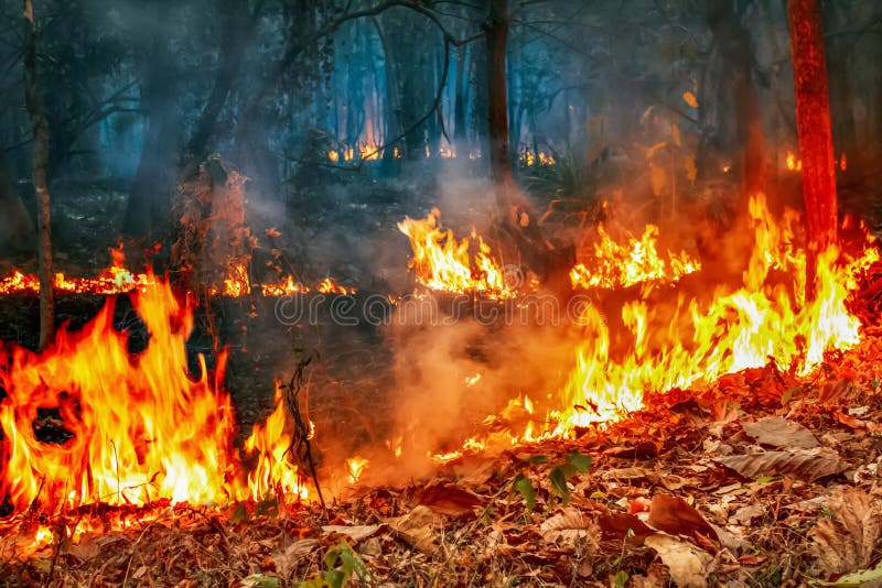 Kryzys pożarowy w kontekście zmian klimatycznych