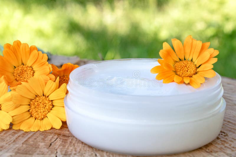 Kräm för kroppomsorg med calendulaen Nya orange calendulablommor på en träbakgrund i natur Kosmetisk kräm för att rentvå royaltyfria foton Kräm för kroppomsorg med calendulaen Nya orange calendulablommor på en träbakgrund i natur Kosmetisk kräm för att rentvå royaltyfria foton