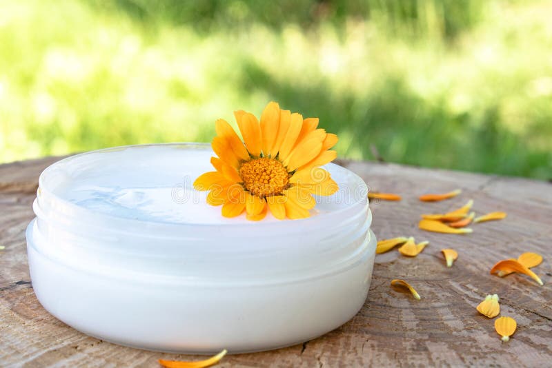 Kräm för kroppomsorg med calendulaen Nya orange calendulablommor på en träbakgrund i natur Kosmetisk kräm för att rentvå arkivbild Kräm för kroppomsorg med calendulaen Nya orange calendulablommor på en träbakgrund i natur Kosmetisk kräm för att rentvå arkivbild