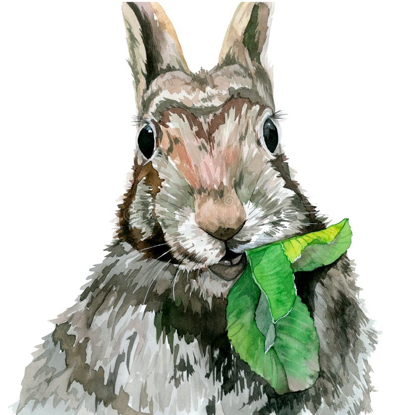 Królik je liść i gapi się prosto beak dekoracyjnego latającego ilustracyjnego wizerunek swój papierowa kawałka dymówki akwarela royalty ilustracja Królik je liść i gapi się prosto beak dekoracyjnego latającego ilustracyjnego wizerunek swój papierowa kawałka dymówki akwarela royalty ilustracja