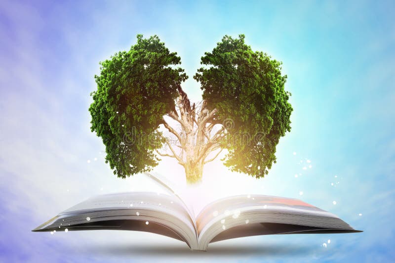 Książka narastająca wiedza z mózg dużym drzewem