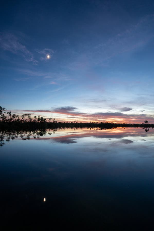 Księżyc i mrok chmury nad jeziorem sosnowym w parku narodowym everglades. zdjęcia royalty free