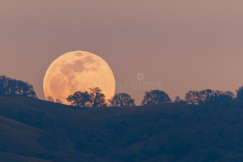 Księżyc pełen wznoszący się zza wzgórza w pasmie górskim diablo w południowym obszarze zatoki san francisco san jose california wi