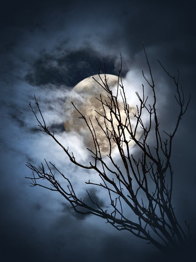Księżyc w pełni noc