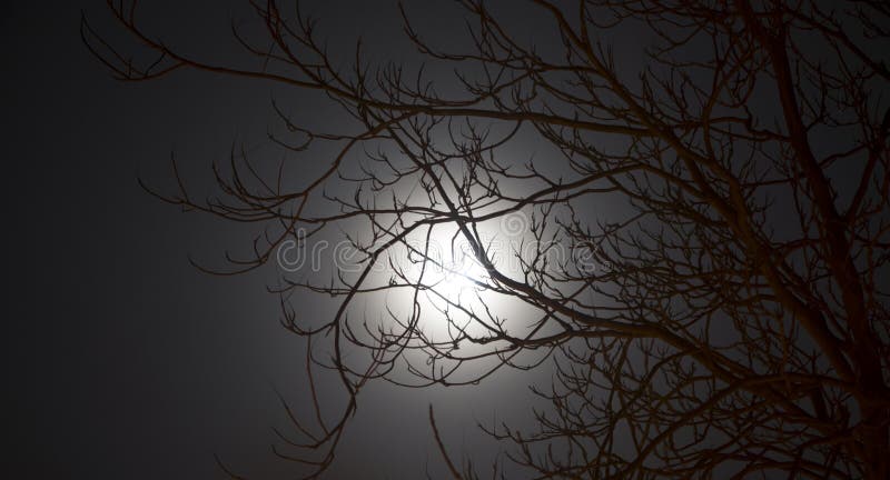 Księżyc W Pełni przy nocą
