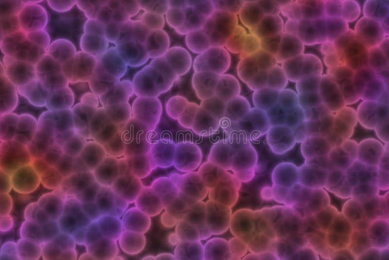 Kształt bakteryjna komórka: cocci, bakcyle, spirilla bakterie